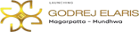 Godrej Elaris Logo